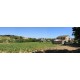Properties for Sale_Farmhouses to restore_Farmouse le tre Cannelle in Le Marche_2